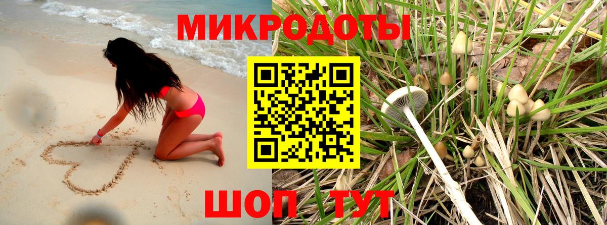 Томск  Галлюциногенные грибы мицелий  цена наркотик  Псилоцибиновые грибы Psilocybine cubensis  Вход с VPN 