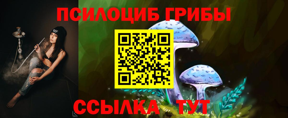 Галлюциногенные грибы Cubensis Томск