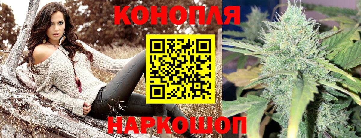 Каннабис сатива  Вход с VPN  Бошки Шишки планчик  Томск  Канабис конопля 